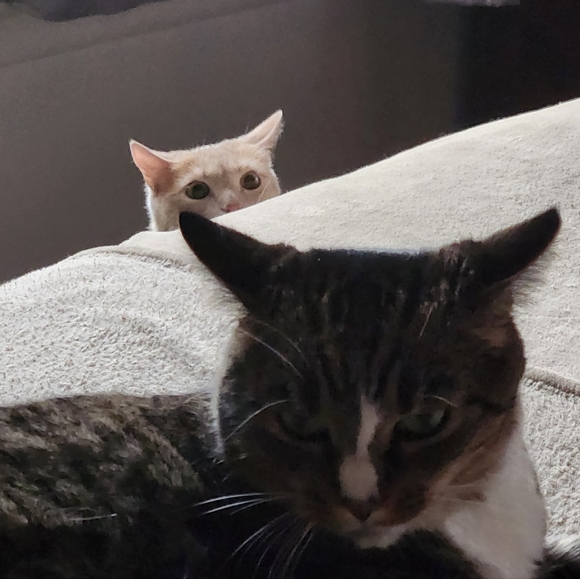 Hello! 💜💙💚 - Picture 7 of 16